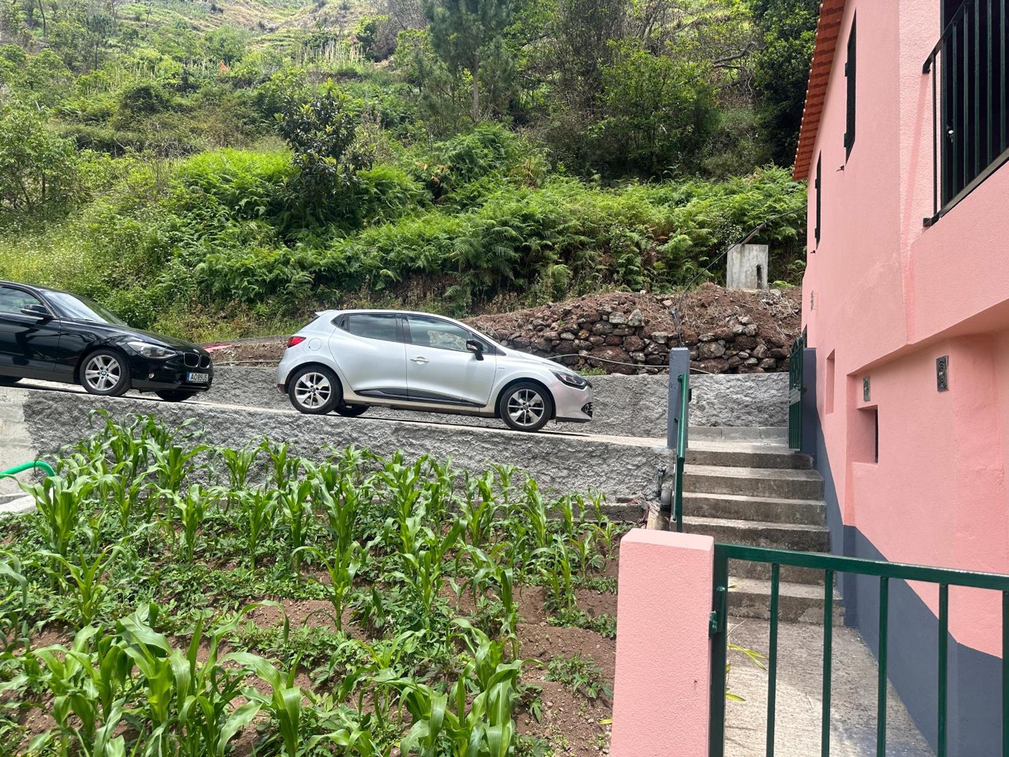 Casa Rosa Ribeira Brava Exterior foto